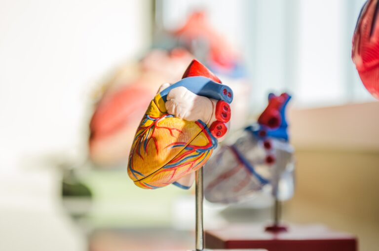Medical Malpractice Attorneys in Miami: Your Essential Guide to Winning Compensation